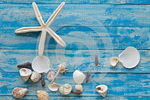 Sea star and shells on wooden blue background. Place for text. T