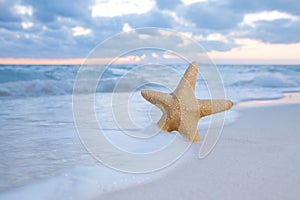 Sea star starfish on beach, blue sea and sunrise