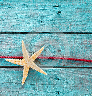 Sea star or starfish with decorative red rope