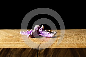 Sea star on wooden table with black background