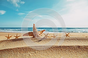 Sea starfish family, walking on beach near the sea background is a sea, with clear water, blue sky, and white cloud, on sunny day