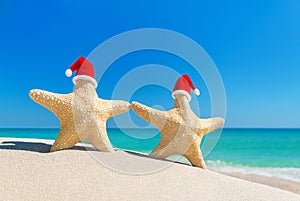 Sea stars couple in red Santa hats at sandy tropical beach