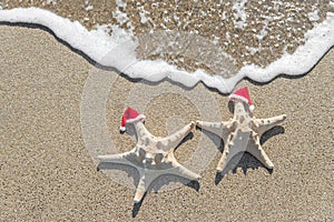 Sea-stars couple in santa hats on the sand.