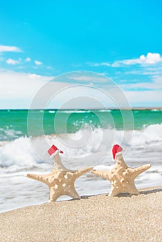 Sea-stars couple in santa hats walking at sea beach