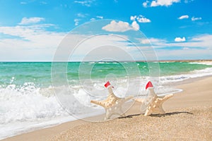 Sea-stars couple in santa hats walking at sea beach.