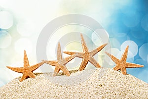 Sea stars on sand, close-up view