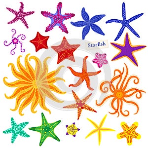 Sea stars set. Multicolored starfish on a white background. Starfishes underwater invertebrate animal. Vector