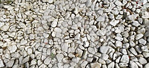 Sea stones background. Rounded stones texture. Colored cobblestone. Wall of stones of a white color