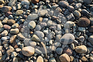 Sea stones background wallpaper nature pattern close