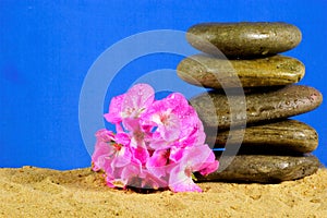 Sea stones - balance on sand and pink flower on blue background. Stones of natural origin drenched with sea water, for massage