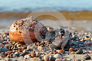 Sea stones, big and small stones from the sea, stones of different size and color