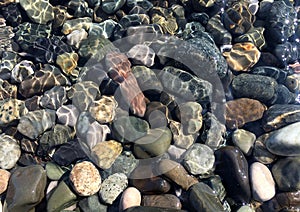 Sea stones in clean sea water. Pebbles under water