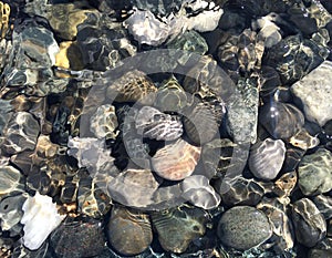 Sea stones in clean sea water. Pebbles under water