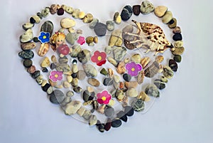 Sea stones in the form of a heart and a shell on white.