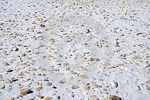 Sea stones. La Cinta beach. Sardinia (Italy)