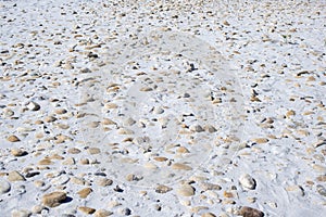 Sea stones. La Cinta beach. Sardinia (Italy) photo