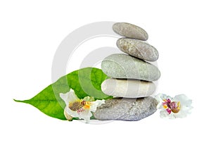 Sea stones with leaf isolated on white background