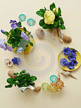 Sea Stones  shells Flowers wreath, garland, crown, chaplet, coronet, circlet of flowers ring blue beach background abstract greeti