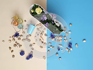 Sea Stones  shells Flowers wreath, garland, crown, chaplet, coronet, circlet of flowers ring blue beach background abstract greeti