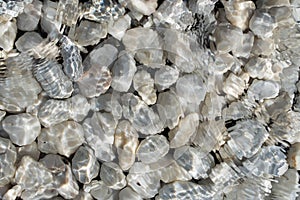 Sea stones under water