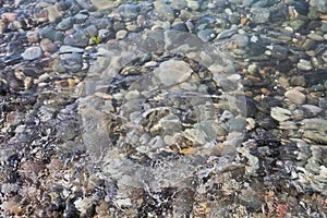 Sea stones in the water of Black Sea. Sochi.