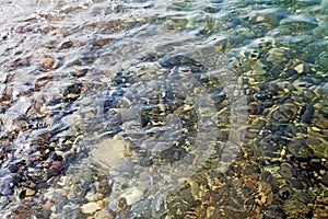 Sea stones in the water of Black Sea. Sochi.