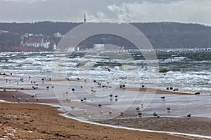 Sea in a storm