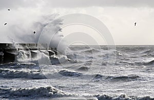 Il mare tempesta 