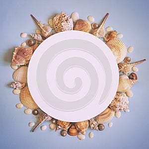 Sea summer travel Concept. Frame of sea shells on a blue background. Flat lay.