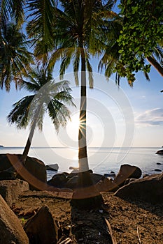 Sea summer vacations concept background Nature frame with coconut palm trees on the seashore with sun light flare beautiful sunset