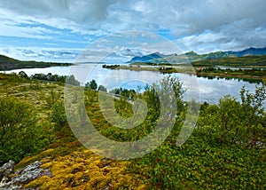 Sea summer view (Norway, Lofoten).