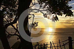 Sea, sun, calm wave and the beach tree silhouettes. Golden sunset light over the ocean horizon with big tree and wooden fence.