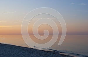 Sea sunrise on the Black sea. Lonely Seagull on the coastline. Calm on Dzharylgach island, Kherson region, Ukraine