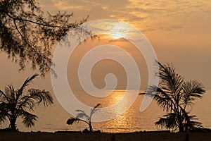 Sea sunset on the coast of Thailand. Palm contours and yellow sun