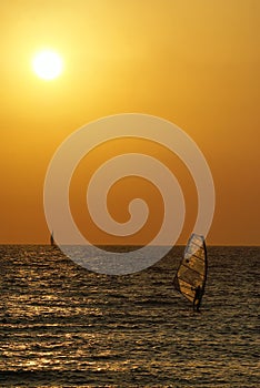 Sea sunset with windsurfer