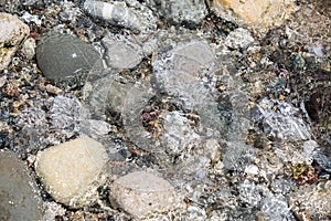 Sea surf on stone beach