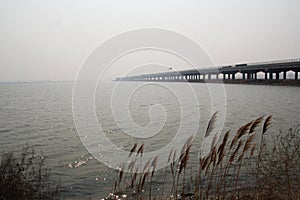 Sea surface and reeds and bridges