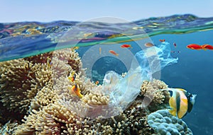 The world ocean pollution. Beautiful tropical coral reef with sea anemones, clownfish and colorful coral fish - polluted with plas