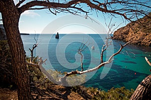 Sea surrounded by rocks and greenery under the sunlight in Ibiza photo