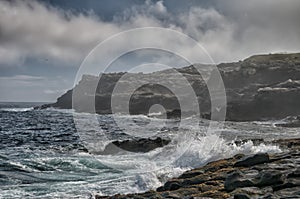 Sea in tempest on rocks