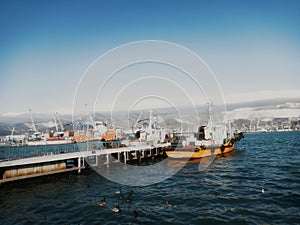 Sea transport, boats, barges. industrial port. Mountain range and flying clouds. Ducks swim.