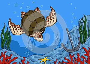 Sea turtle