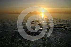 Sea turtle back to the sea after laying eggs during sunrise, Sipadan island, Sabah, Malaysia