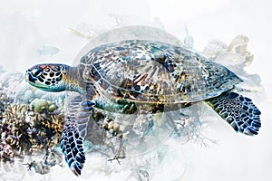 A sea turtle blending with the colors and textures of coral reefs in a double exposure