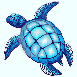 Sea Turtle Blue and Turquoise Vector illustration