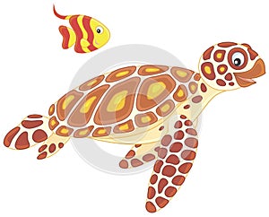 Sea turtle and butterflyfish