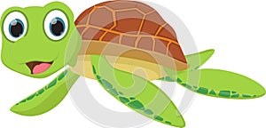 Sea turtle cartoon