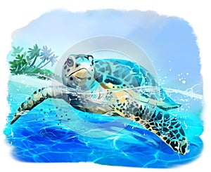 Sea turtle floats