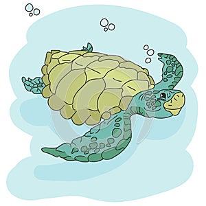 Sea turtle. Hand drawn vector illustration. turtle isolated on white background.