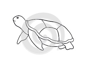 Sea turtle in line art style. Swimming silhouette of undersea animal in hand drawn style. Vector illustration isolated